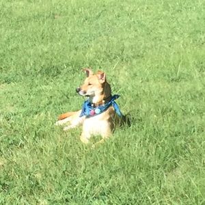 Meet your Posher, Lacey